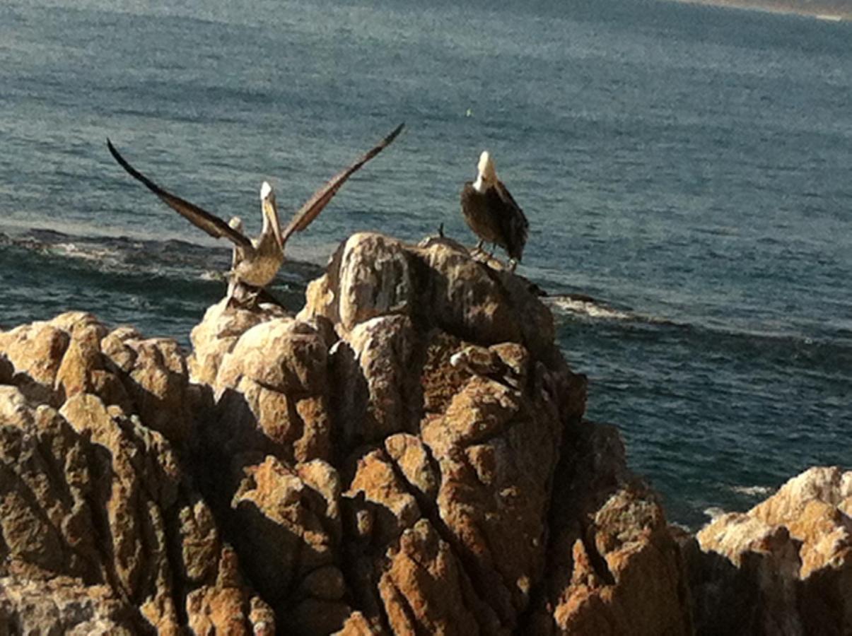 B&B Patrimonial Little Castle Vina del Mar Eksteriør bilde